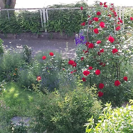 Apartamento Am Kloster